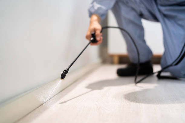 Bed Bug Pre-Treatment Preparation Assessment in Orfordville