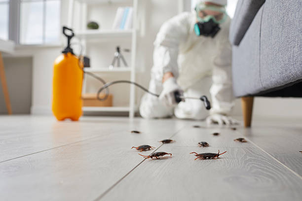 Post-Treatment Bed Bug Interceptor Monitoring in Orfordville