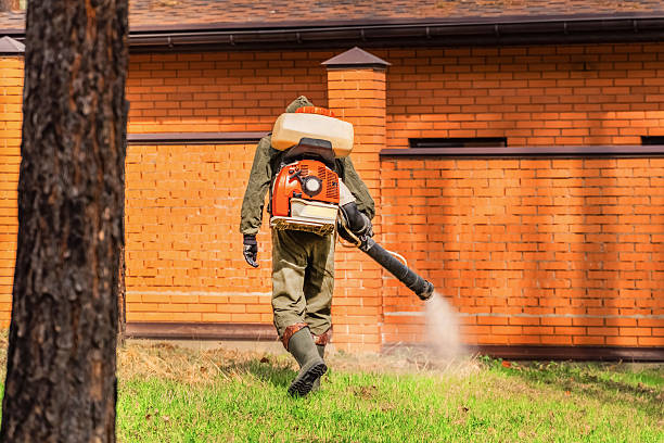 Bed Bug Clearance Verification and Documentation in Orfordville